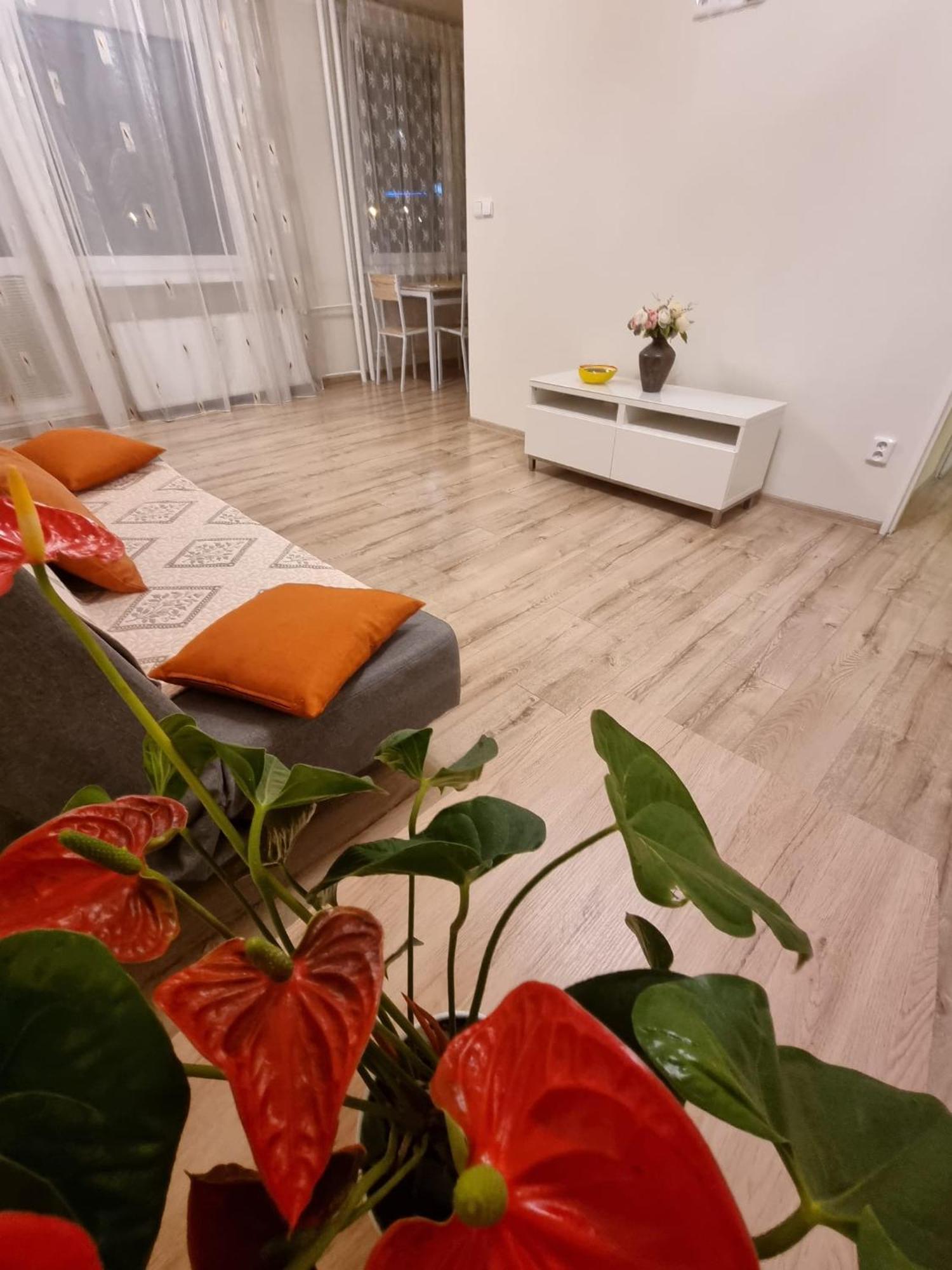 Apartment Tepla Ii